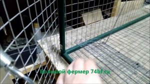 Как поймать кошку/Ловушка для кошек/Металлическая кошколовка котоловка/Живоловка от Большого Фермер