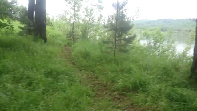 AntiDog vs двух собак смотреть онлайн