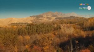 "Сирли ўрмон" ўзбек филм |  "Sirli o'rmon" o'zbek film