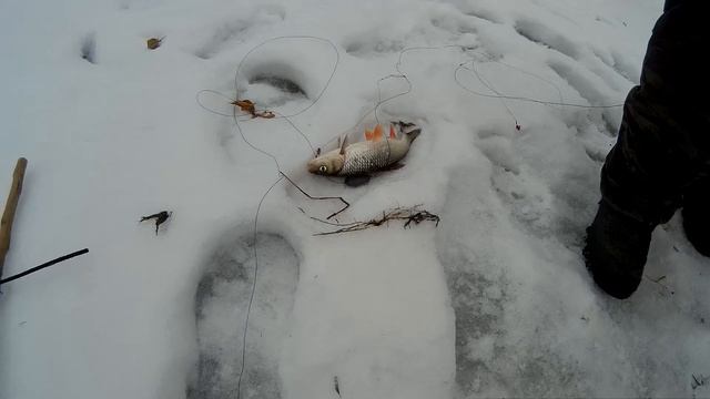 РЕКА ДОН! Зимняя рыбалка! смотреть онлайн