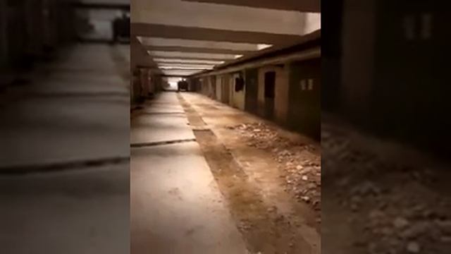 CAT 259B смотреть онлайн