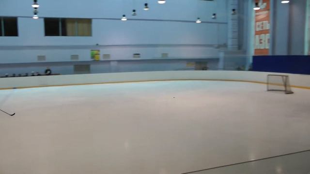 Форсаж 09 - Белые тигры 09. 1 период смотреть онлайн