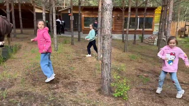 VID-20240608-WA0009.mp4 смотреть онлайн