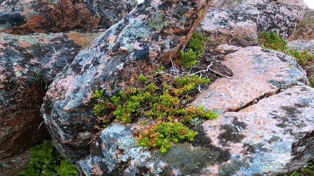 Одиночное мотопутешествие от Кавказа до Кольского. (English subtitles) смотреть онлайн