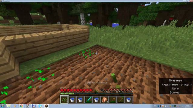 Играю в Minecraft на своём сервере Astra-Lisa.ddns.net:25565 смотреть онлайн