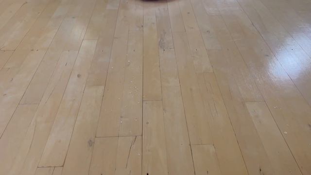Dreame D10s trægulv смотреть онлайн