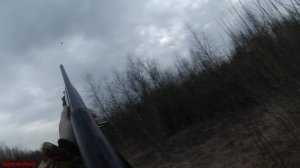Удачные выстрелы на охоте на вальдшнепа. Моменты)