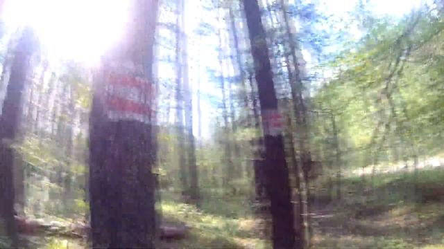 Пеший поход | Томская область | смотреть онлайн