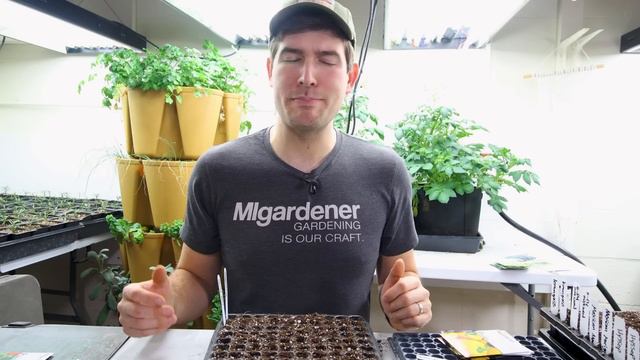 10 Tips To WIN at Seed Starting! смотреть онлайн