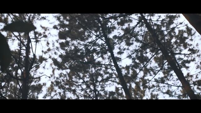 Sony nex 5N video test (old mirrorless) Loji Bogor смотреть онлайн