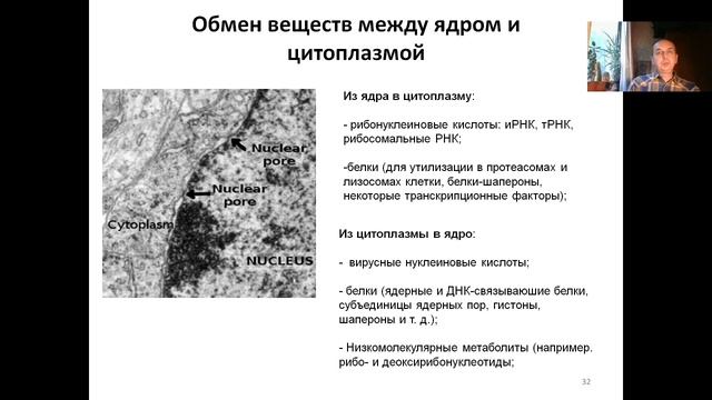 Лекция 1.  Краткий очерк истории молекулярной биологии. Клетка. Клеточная теория (2022).