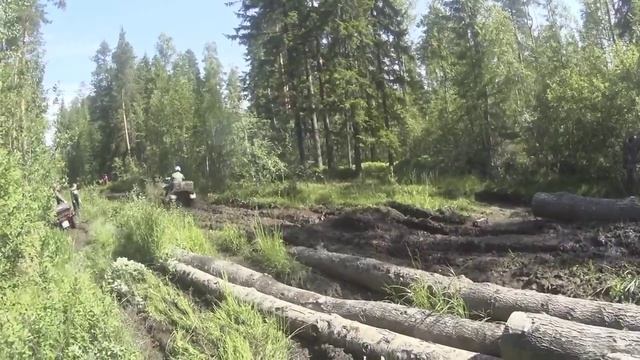 Летние воспоминания ! смотреть онлайн