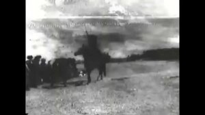 Кони Кабарди 🐎 ყაბარდოული ცხენები