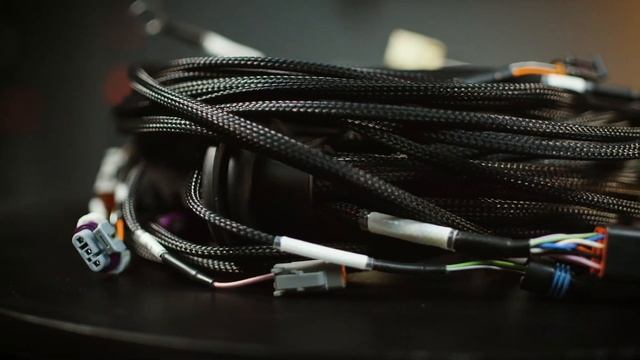 ✅NEXUS Rebel LS | FAST FACTS смотреть онлайн
