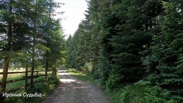 Спряталась в доме, чтобы разоблачить мужа, но подслушав его разговор она обомлела... смотреть онлайн