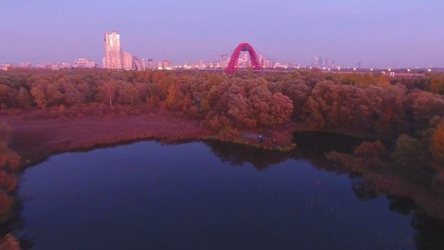 Осенний Серебряный бор. Аэросъёмка.mp4