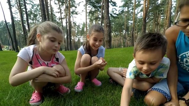 Джели Бели Бин Бузлд челлендж. Jelly Belly Bean Boozled challenge на русском 2016 смотреть онлайн