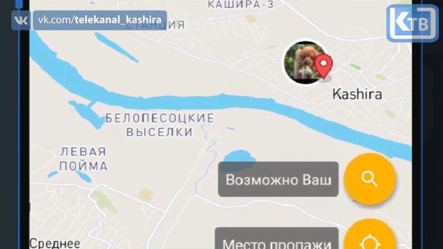 ПРИЛОЖЕНИЕ ДЛЯ ПОИСКА ДОМАШНИХ ЖИВОТНЫХ смотреть онлайн