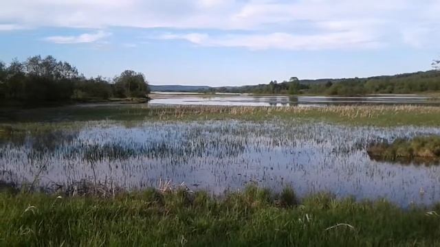 Пермский край Оханский район село Казанка смотреть онлайн