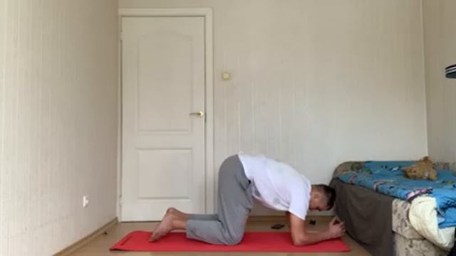 Онлайн школа - развитие силовой выносливости рук и тренировка пресса для 12 класса (18+ лет) смотреть онлайн