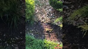 АГРОТКАНЬ ?ГЕОТЕКСТИЛЬ ?СПАНБОНД!!?ЧТО ЛУЧШЕ?