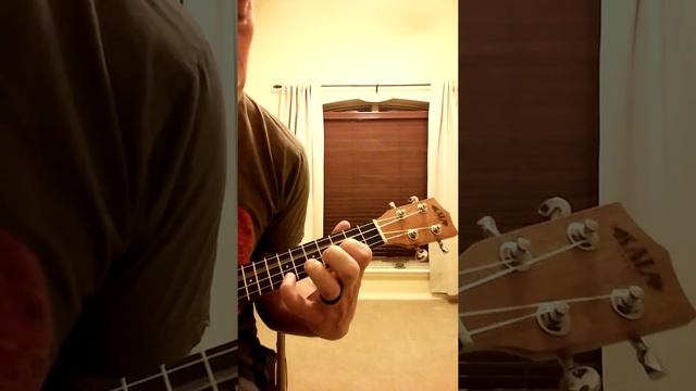 Narcolepsy - Ben Folds Ukulele Cover смотреть онлайн