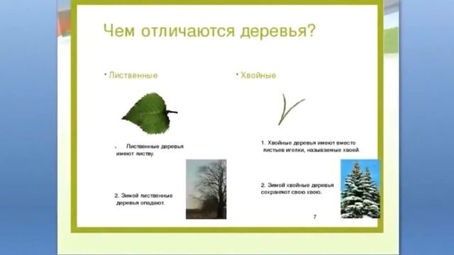 ОМ1 5н смотреть онлайн