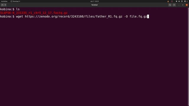 Linux Tutorial for Beginners | How to Download Files using wget смотреть онлайн