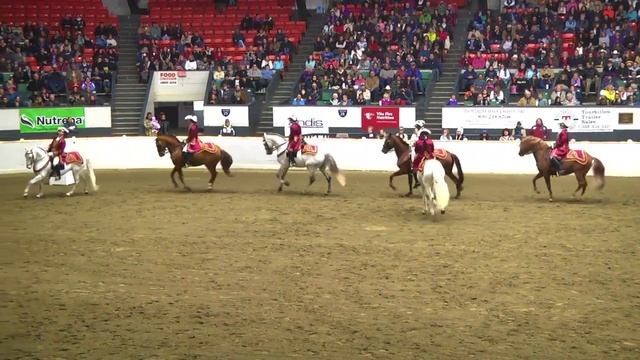 Equine Affaire 2012 Fantasia - Lusitanos смотреть онлайн