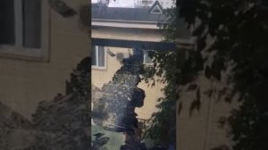 Как легко смыть солнцезащитную плёнку с пластиковых окон