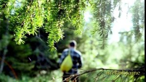 Был в тайге такой случай = АудиоКнига