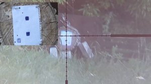 манул мр 161 (22lr)50 м..mp4