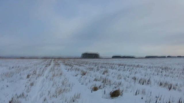 Влог #2|The Forest в реальной жизни|Последнее видео| Смотреть до конца! смотреть онлайн