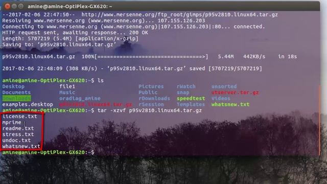 Linux How to Stress Test Your System using Mprime смотреть онлайн