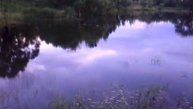 Летняя рыбалка, д.Зеленый сад. смотреть онлайн
