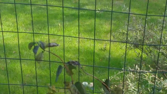 На даче десять градусов тепла смотреть онлайн