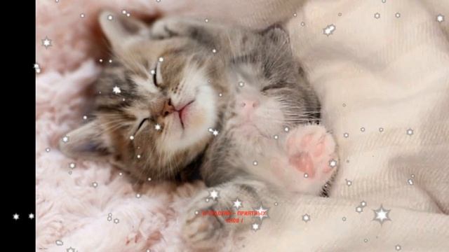 ✨?✨ Прекрасных снов! сладких снов спокойной ночи! сладких снов тебе! нежных снов! смотреть онлайн