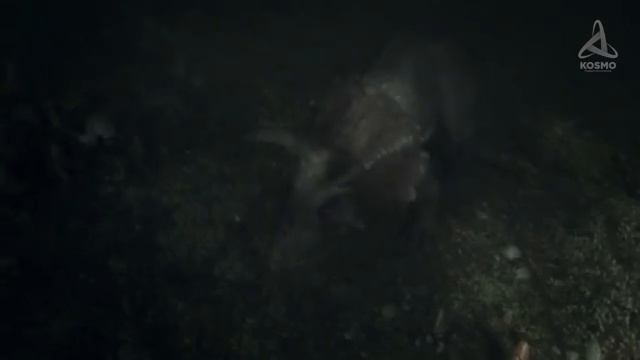 ЭТО-САМЫЙ-БОЛЬШОЙ-МЕТЕОРИТ-УПАВШИЙ-НА-ЗЕМЛЮ смотреть онлайн