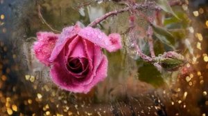 Дом стоящий там. (Лайтиджи Соул)