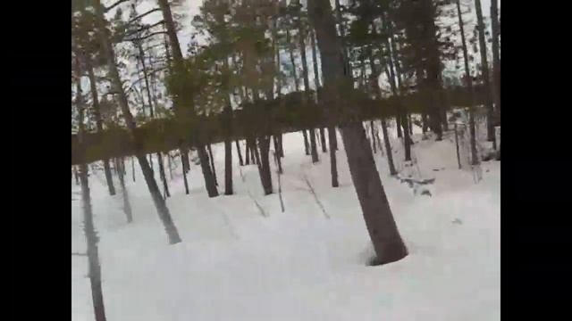 На буране по Сибирской тайге смотреть онлайн