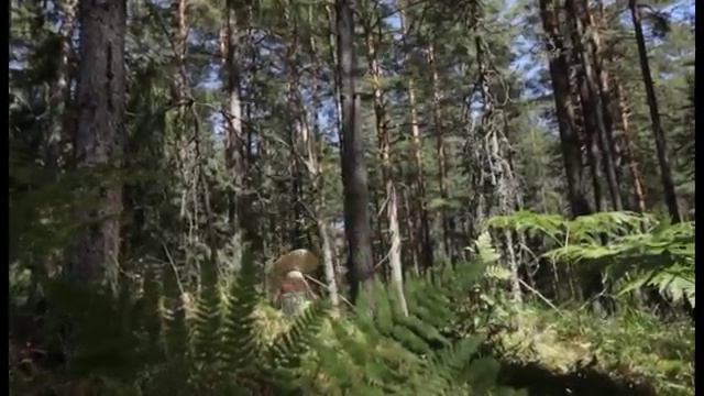 Дремучее средневековье (конкурс) - Слет АО Равенство 2016