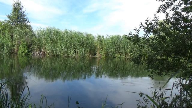 Река фидер Не садись два раза к ряду на одно и то же место смотреть онлайн