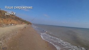 Пеленгас на Азовском море осень 2020 | Ловля на лиманского червя | Косим пелика!