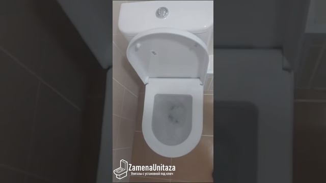 Тест смыва унитаза Vitra Zentrum Горизонтальный Выпуск смотреть онлайн