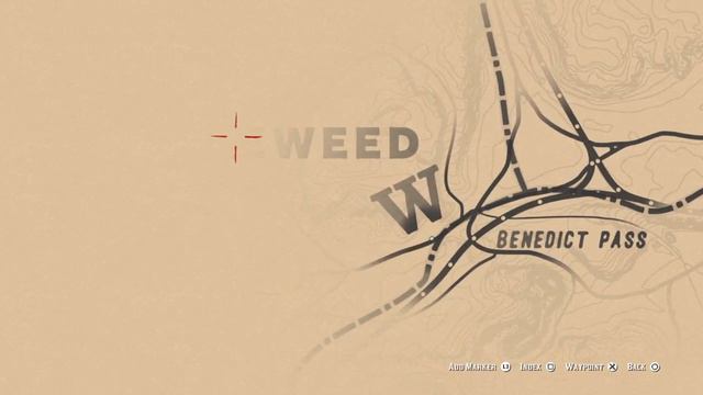 RDR2--Red Dead Redemption 2--Reading tombstones at Coot's Chapel (Armadillo) смотреть онлайн