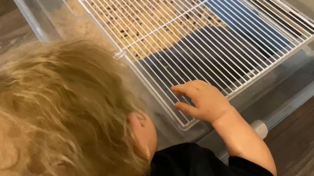 ВЕЧЕР ПОСЛЕ САДИКА С РЕБОРНОМ ЛИАМОМ | ВОСПИТЫВАЮ РЕБОРНА