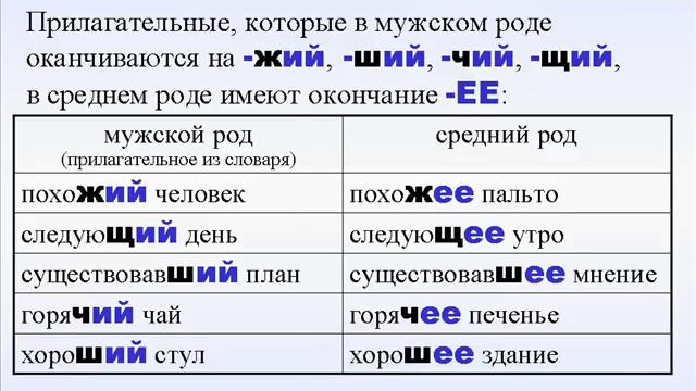 5-урок. Какой? Прилагательные.  Грамматика русского языка с нуля.