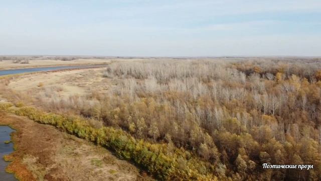 Осень... Золото красок!