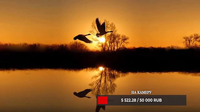 #Relax best Music Edgar Tuniyants, #стрим + Бот #мелодия, романтическая, успокаивающая, #музыка душ смотреть онлайн