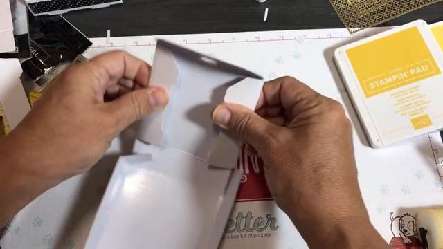 Mini Box of Sunshine - Paper Pumpkin Alternative Project - June 2020 Box of Sunshine by Stampin’ Up смотреть онлайн